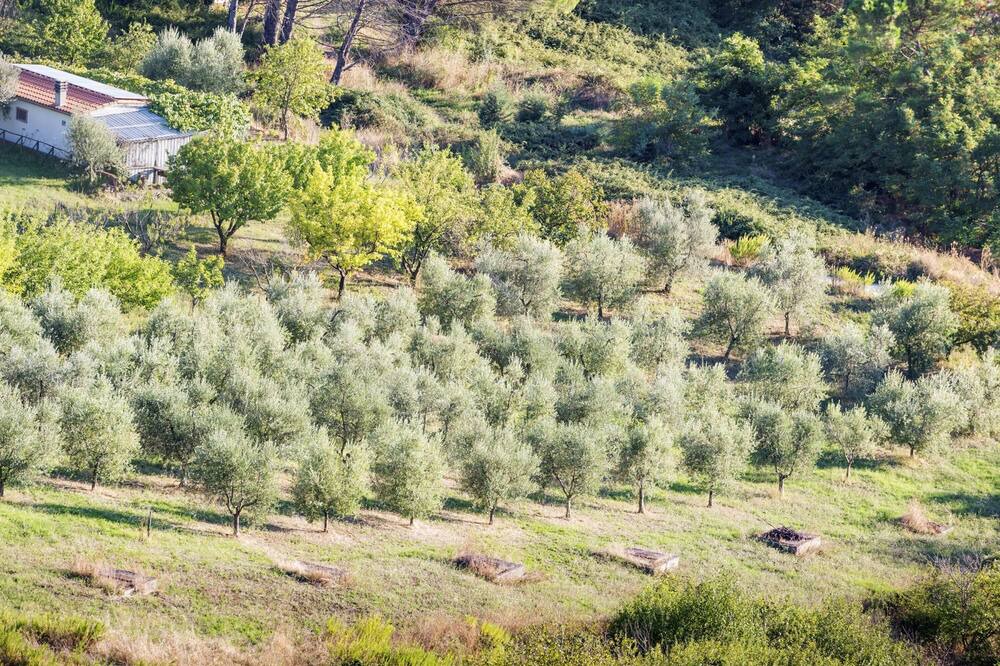 Photo of Outdoor in Montorsaio