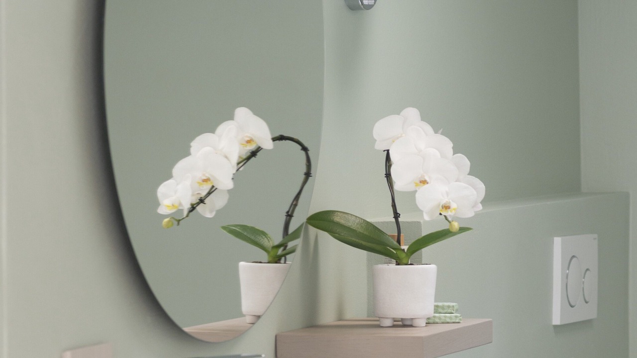 Photo of Bathroom in San Savino