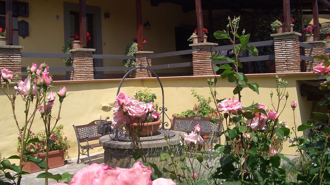 Photo of Outdoor in Viterbo