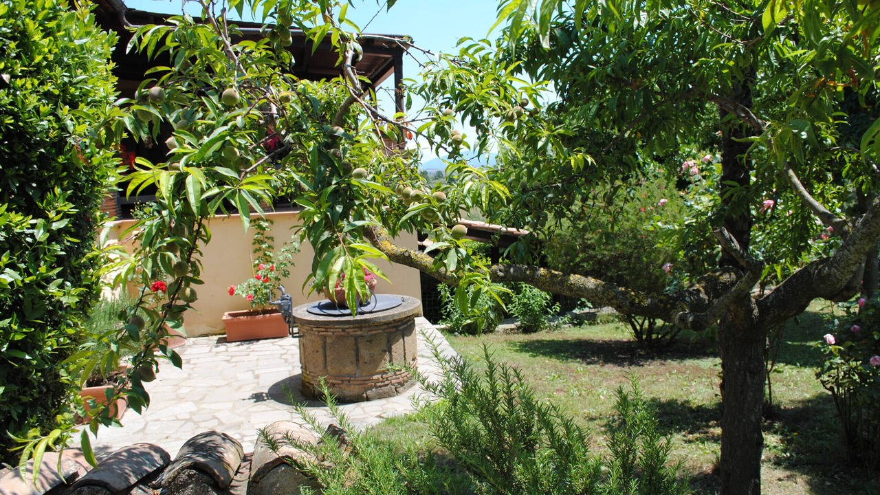 Photo of Outdoor in Viterbo