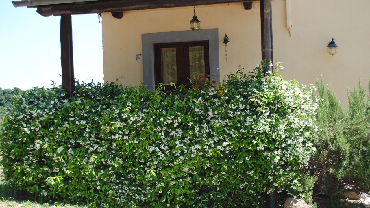 Photo of Outdoor in Viterbo