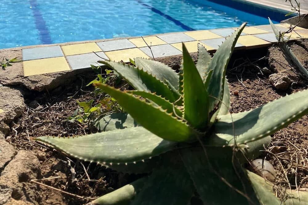 Photo of Outdoor in Eboli