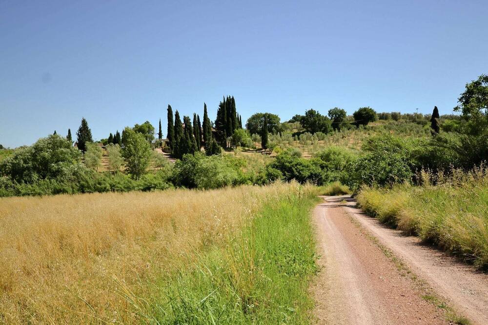 Photo of Others in Montecastelli