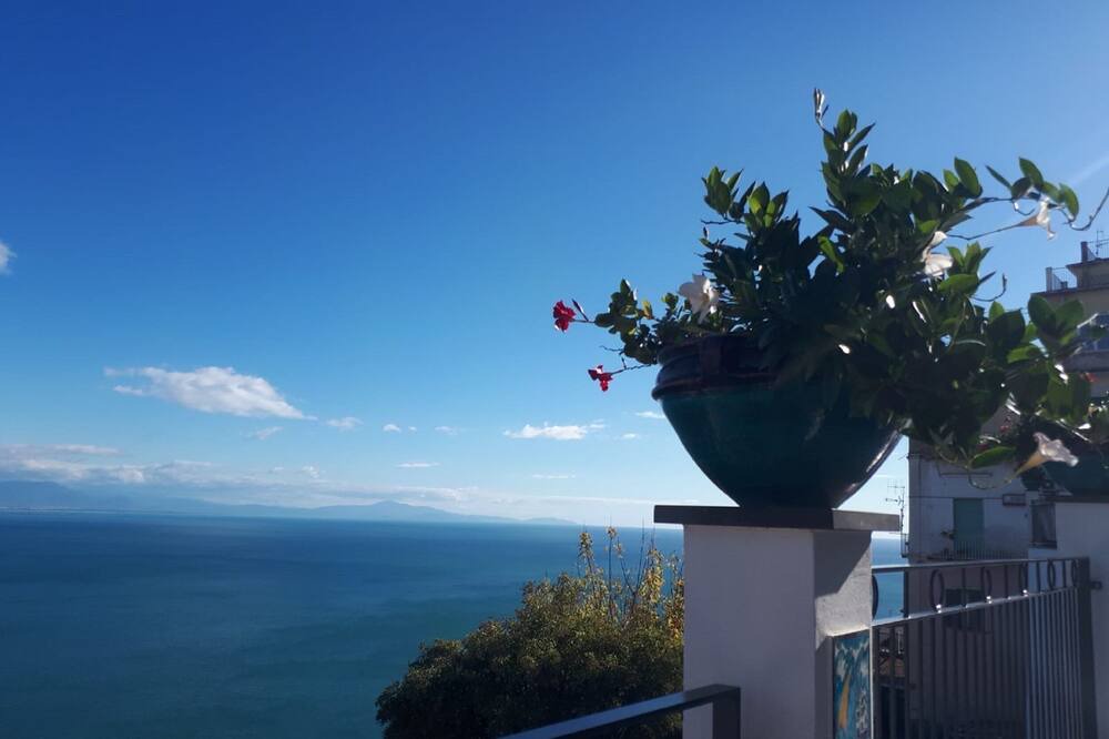 Photo of Outdoor in Raito