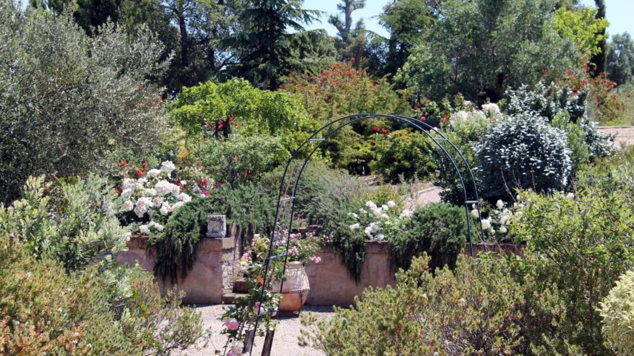 Photo of Outdoor in Montalto di Castro