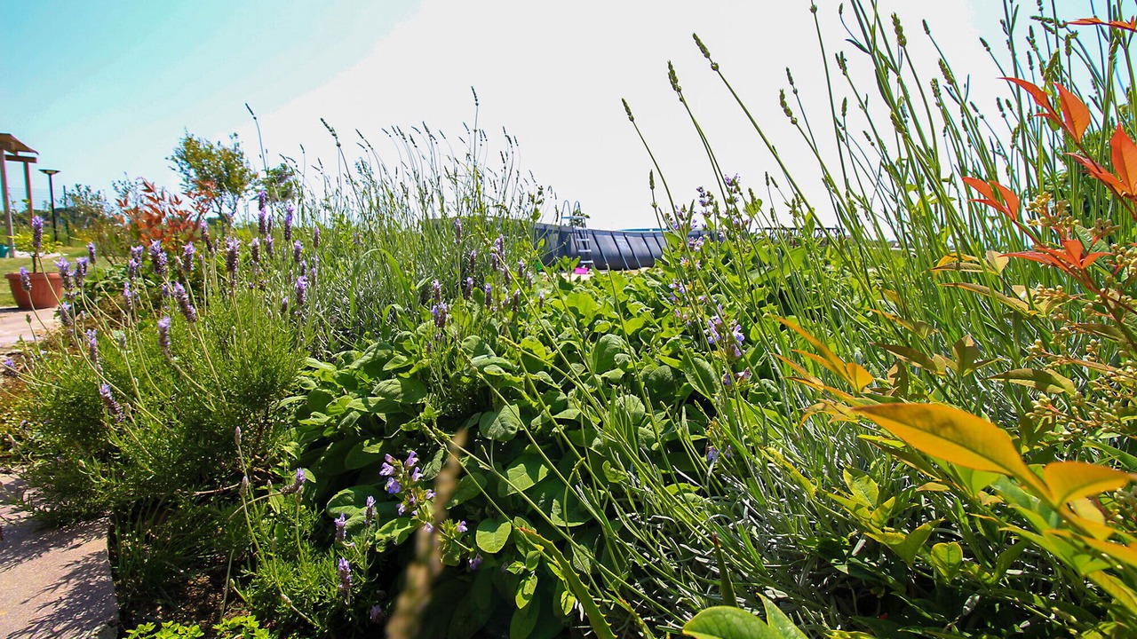 Photo of Outdoor in Grosseto