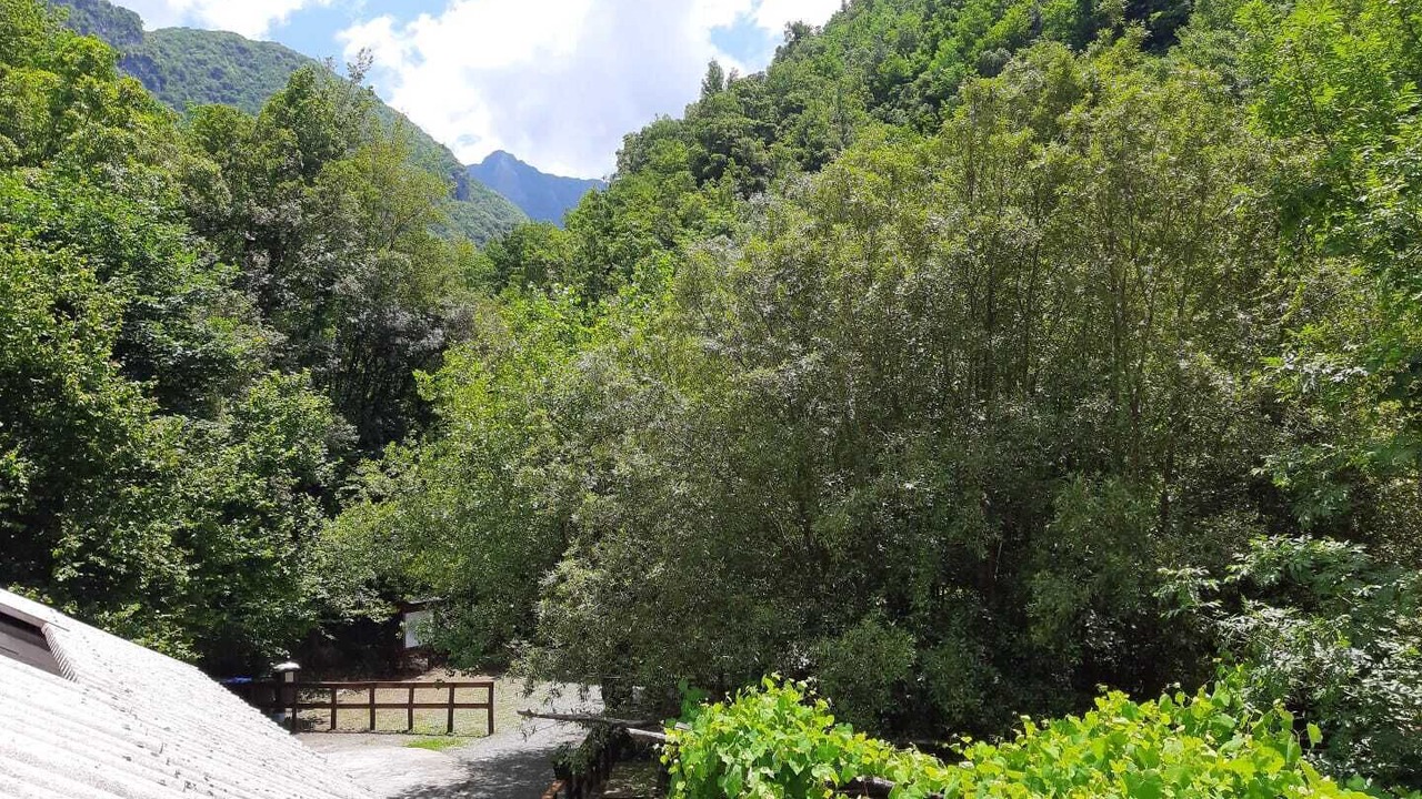 Photo of Patio Balcony in Orsomarso