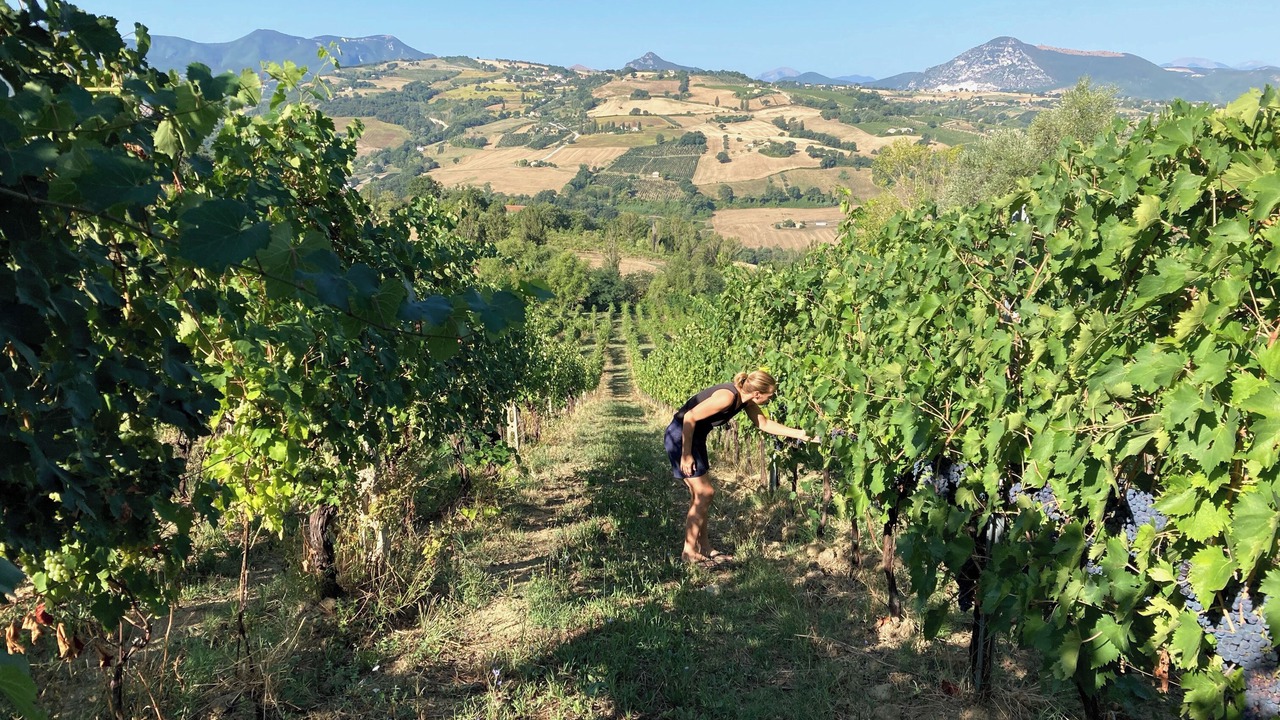 Photo of Outdoor in Cupramontana