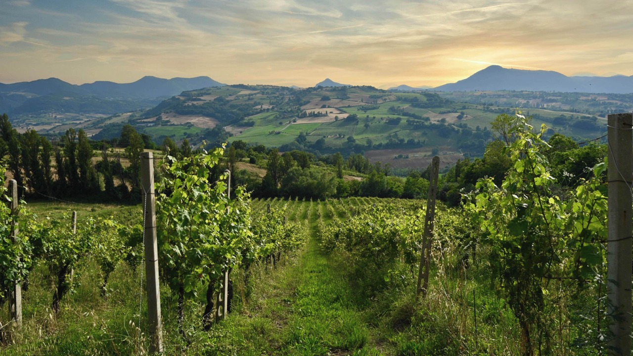 Photo of Outdoor in Cupramontana