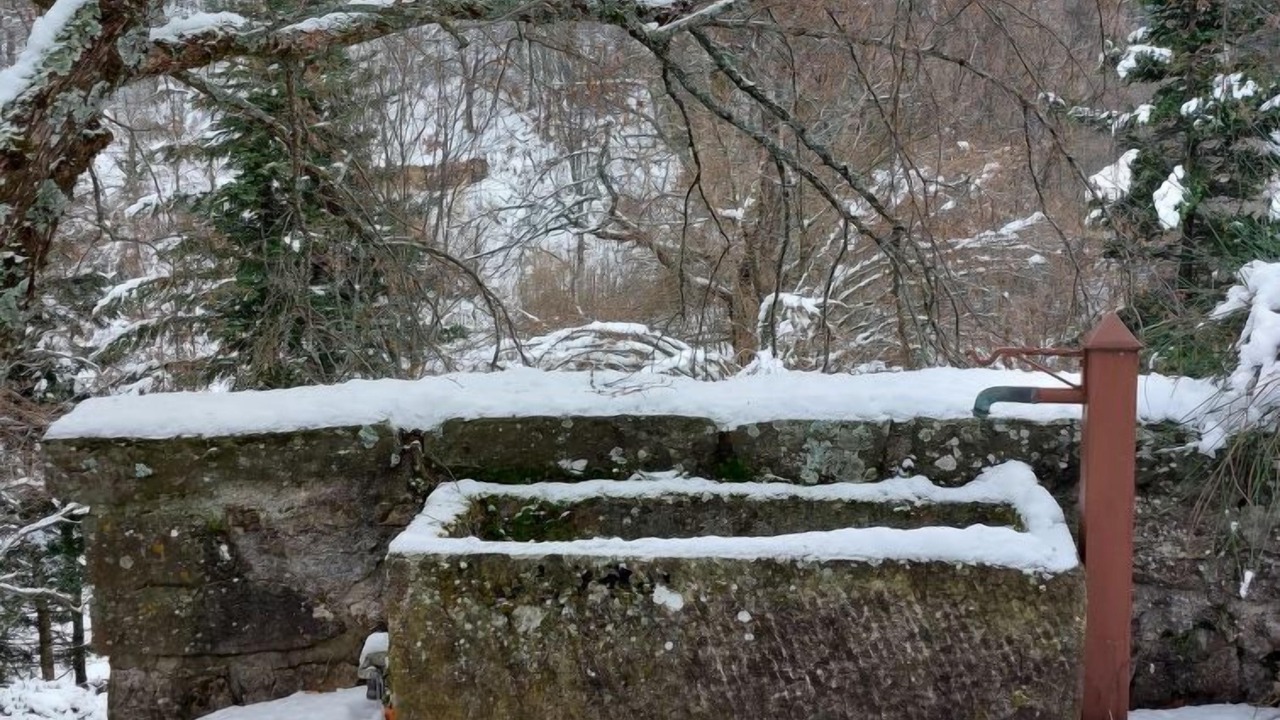 Photo of Outdoor in Corniglio