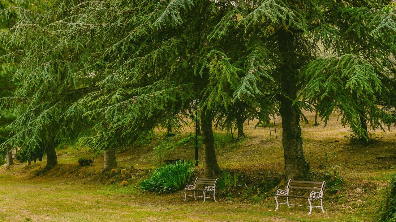 Photo of Outdoor in Matelica