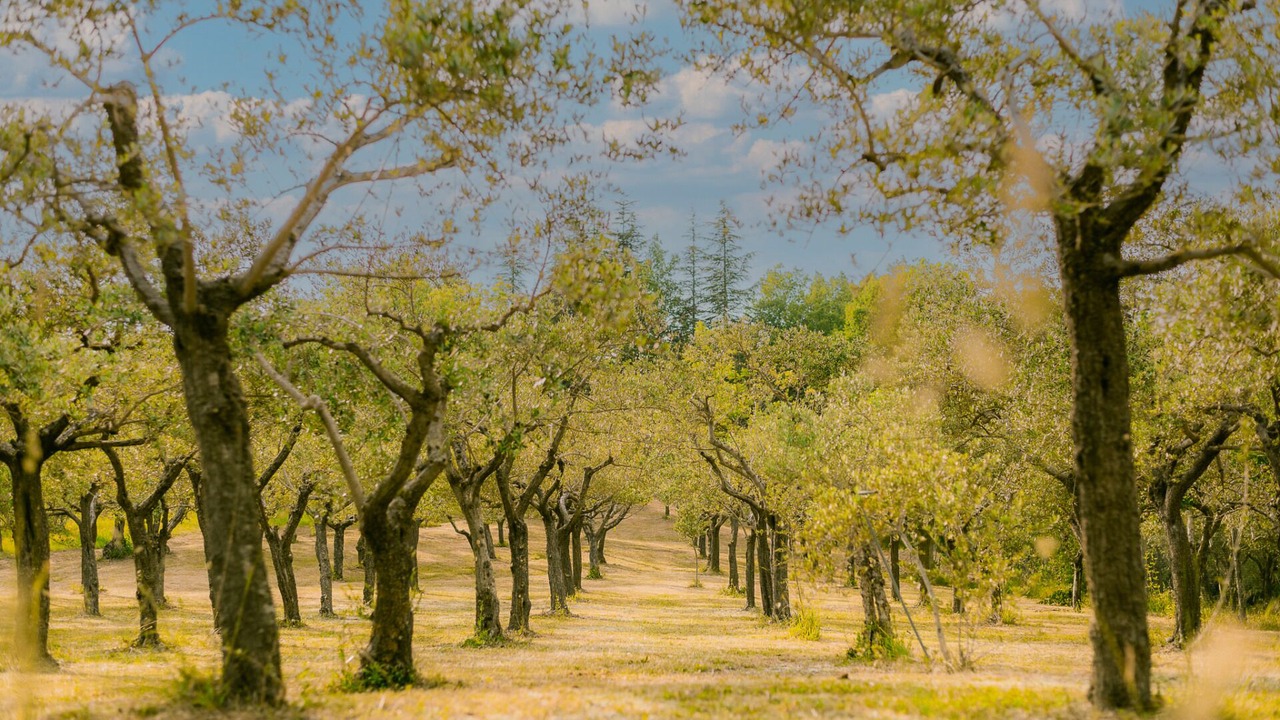 Photo of Outdoor in Matelica