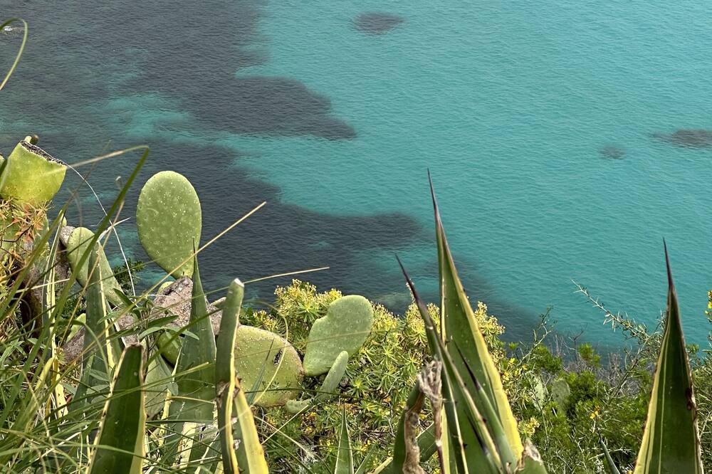 Photo of Outdoor in Coccorino