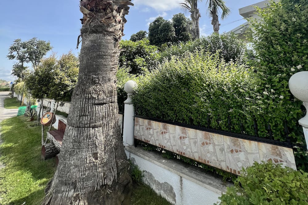 Photo of Outdoor in Botricello