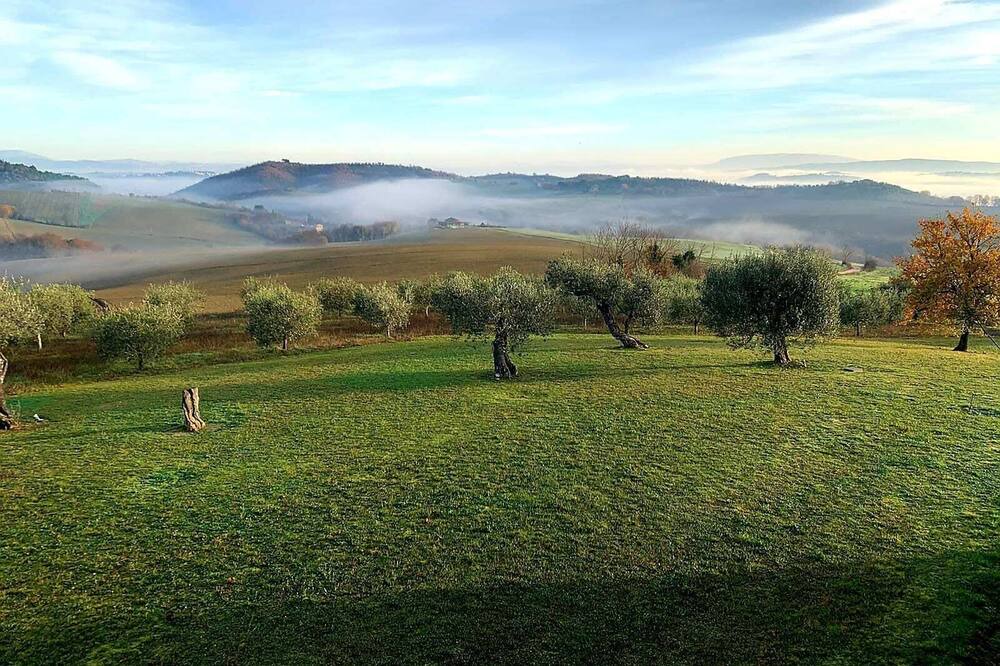 Photo of Outdoor in Compignano