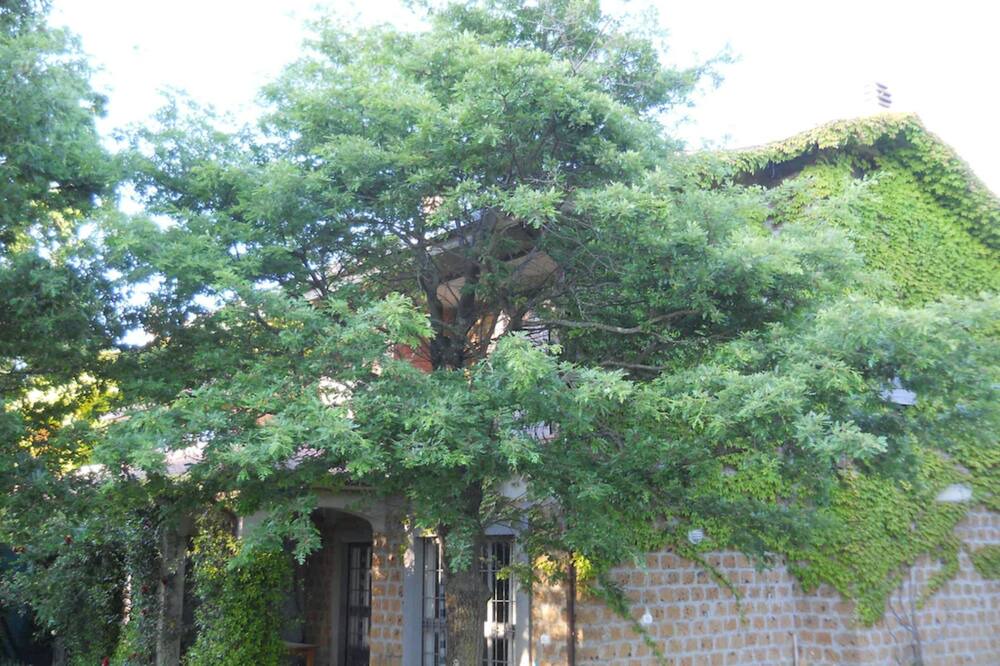 Photo of Outdoor in Capraccia