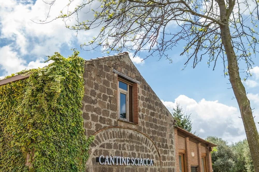 Photo of Outdoor in Falciano del Massico