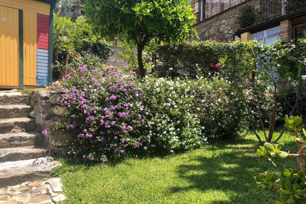 Photo of Outdoor in Caprioli