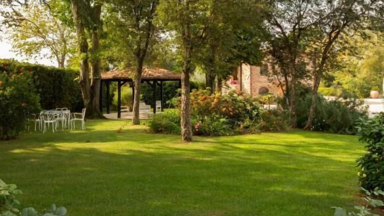 Photo of Outdoor in Cori