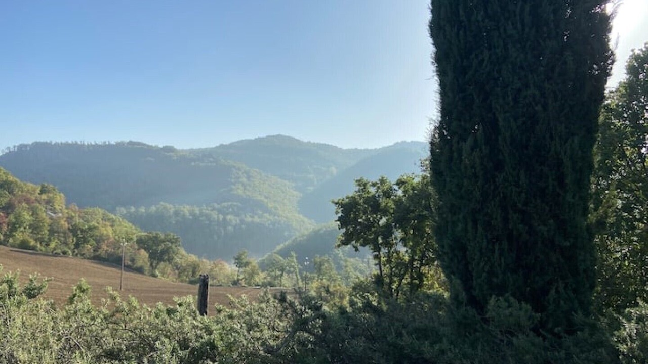 Photo of Others in Montone