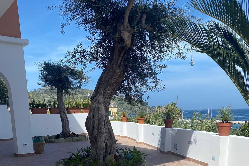 Photo of Patio Balcony in Succhivo