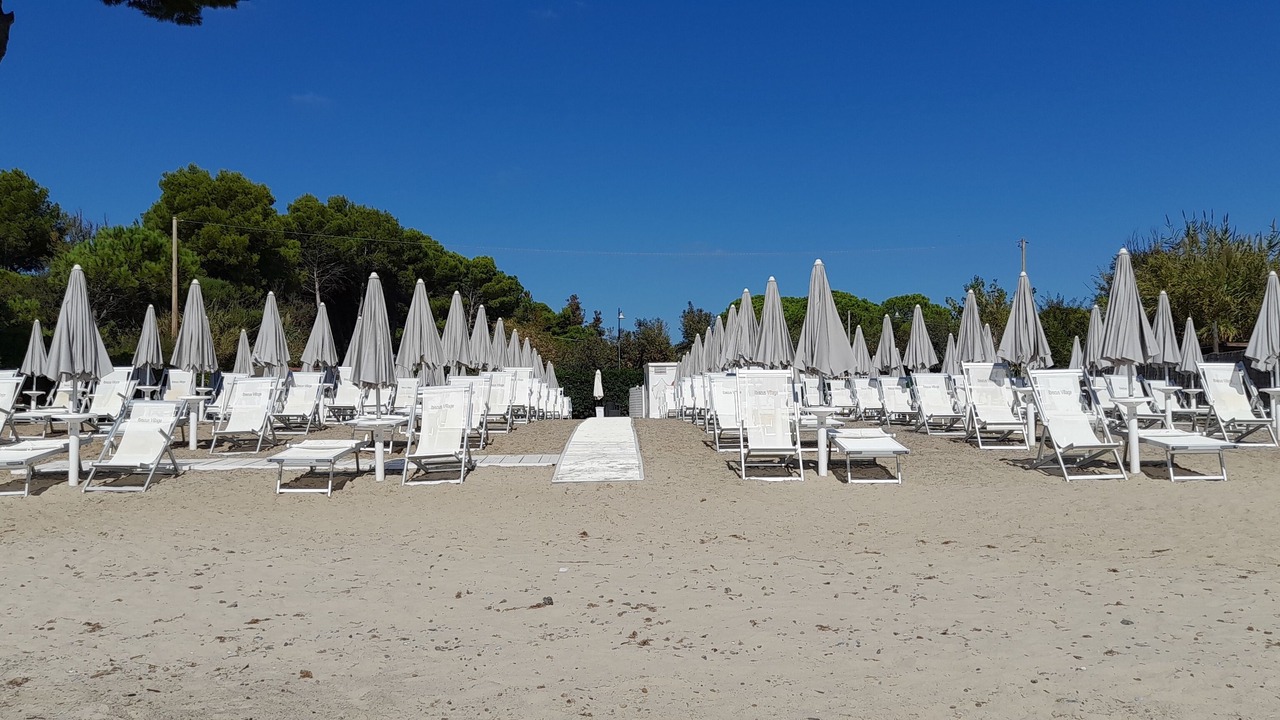 Photo of Others in Follonica