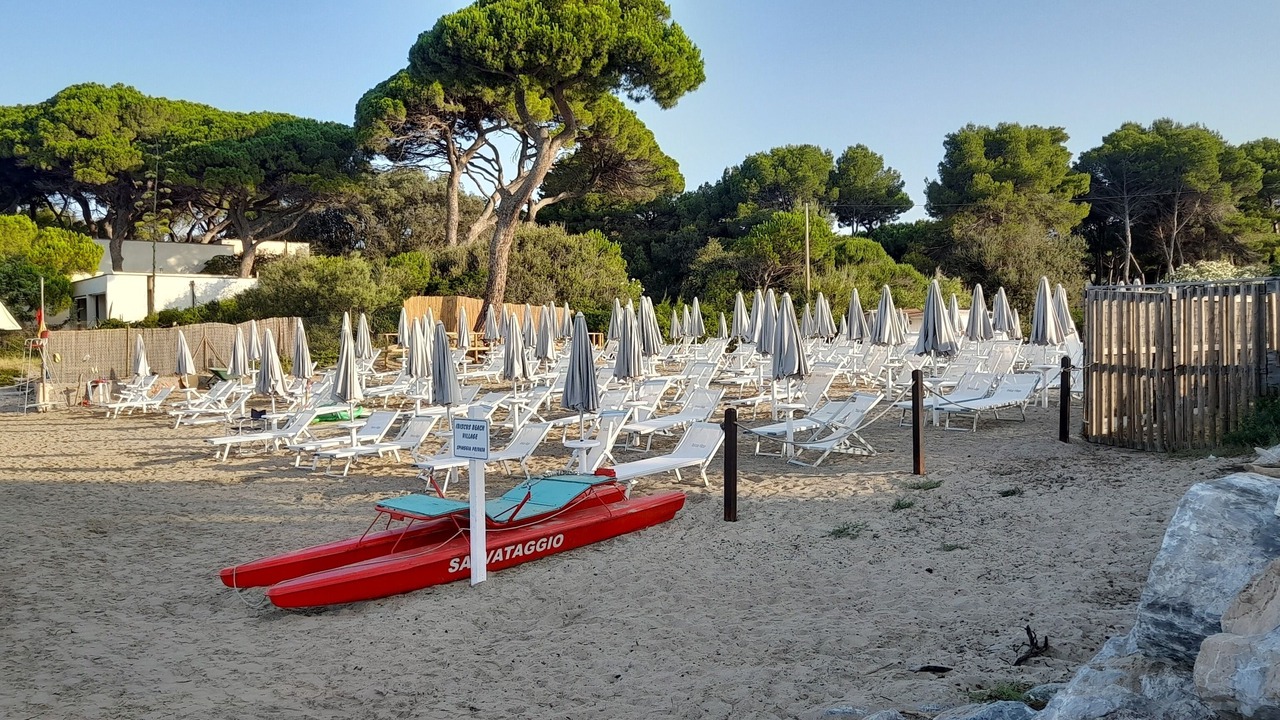 Photo of Others in Follonica