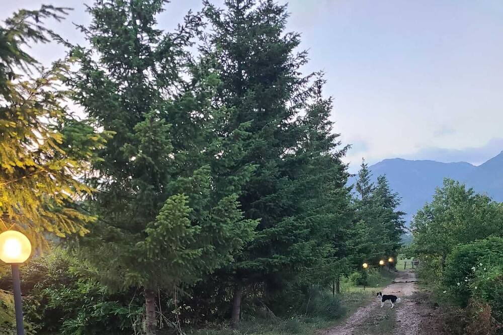 Photo of Outdoor in Barete