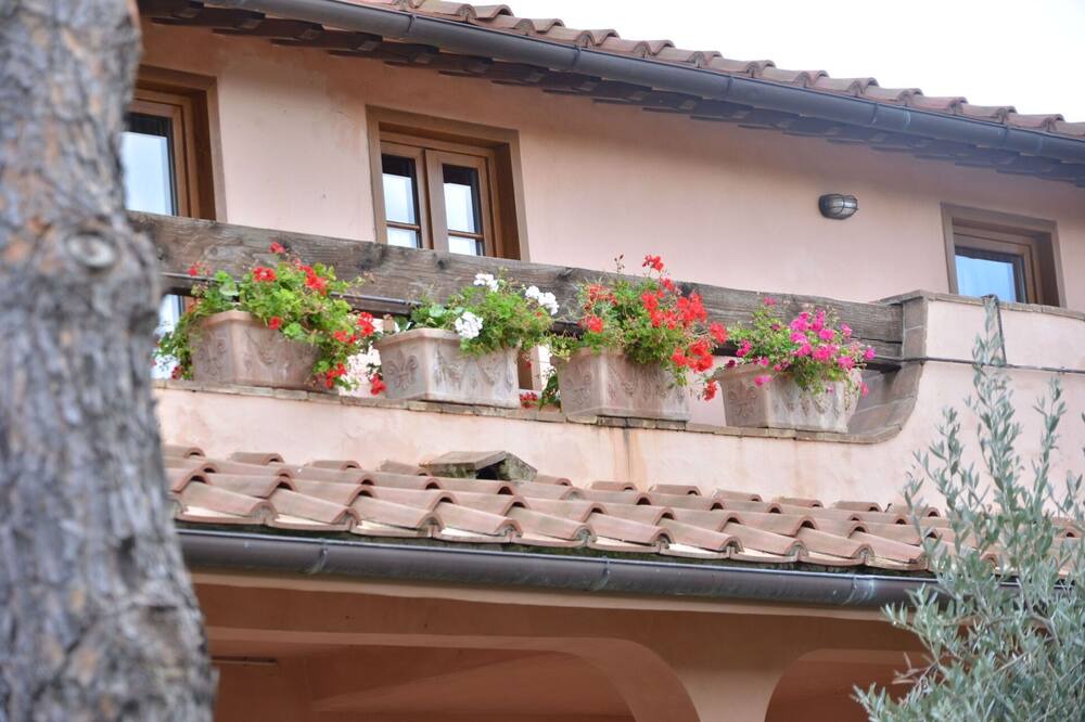 Photo of Others in Grosseto