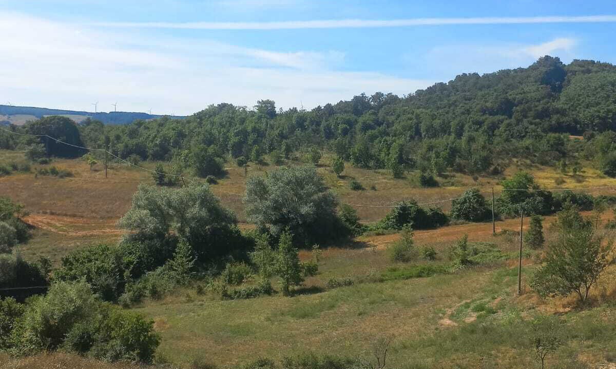 Photo of Outdoor in Riccia