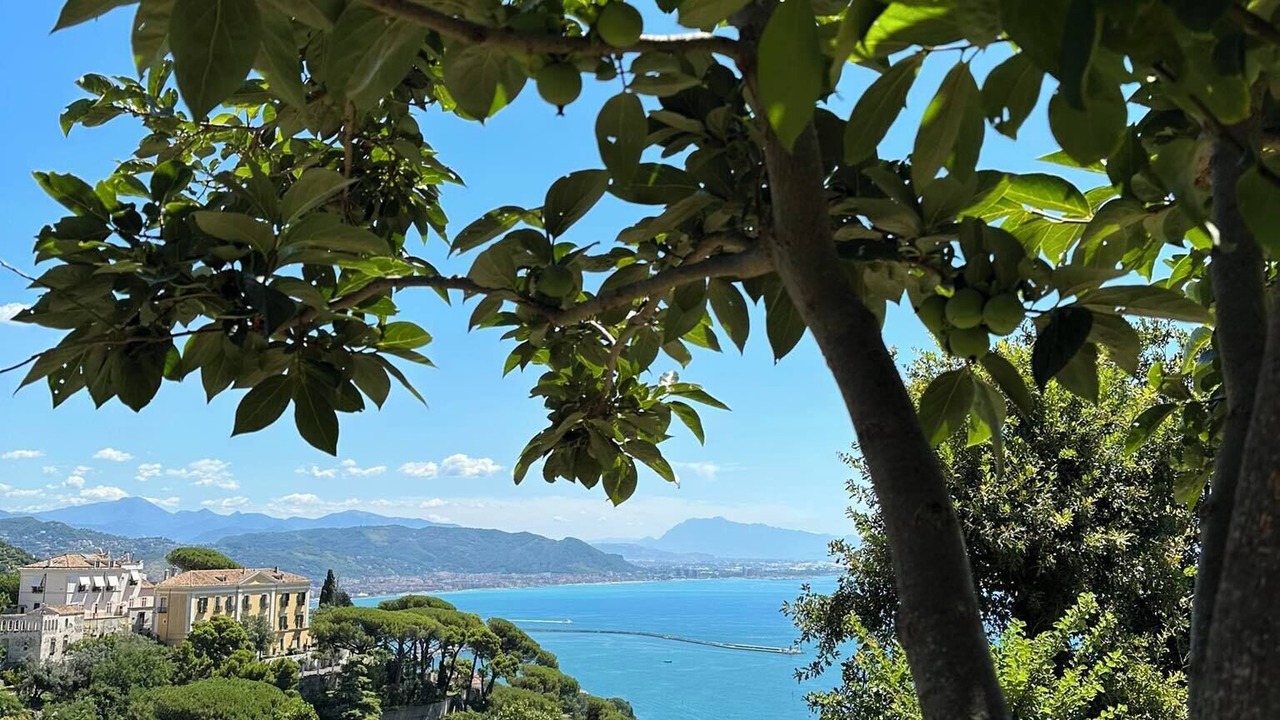 Photo of Outdoor in Raito