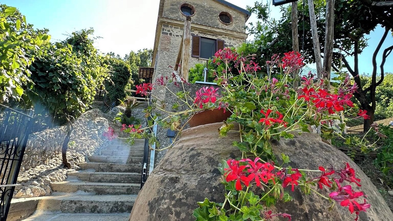 Photo of Outdoor in Raito