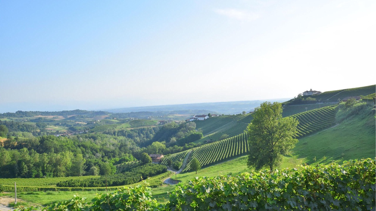 Photo of Others in Monforte d'Alba