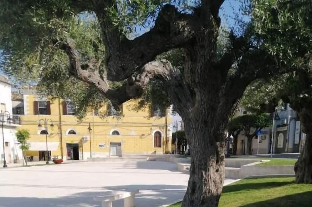 Photo of Outdoor in Campomarino