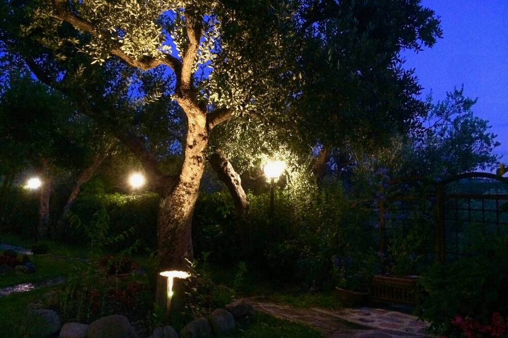 Photo of Outdoor in Gioi