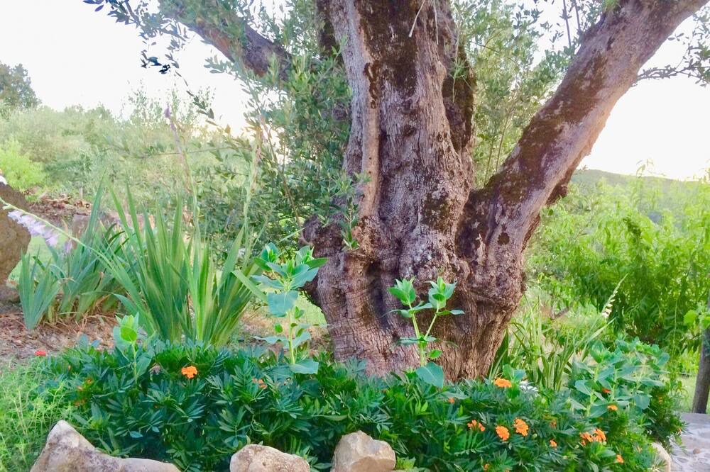 Photo of Outdoor in Gioi