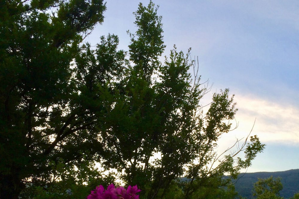 Photo of Outdoor in Gioi