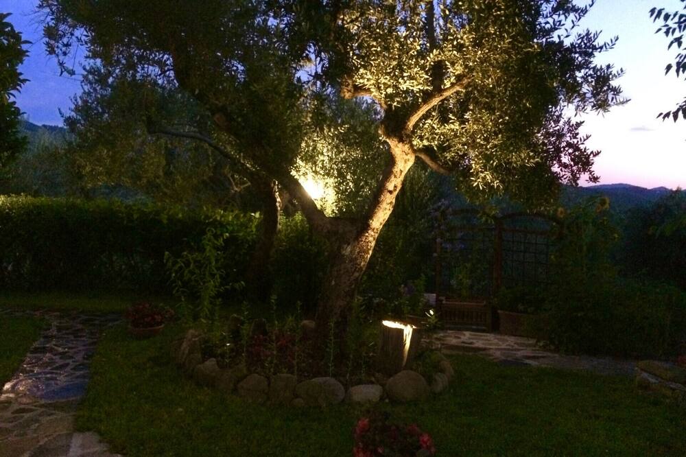 Photo of Outdoor in Gioi