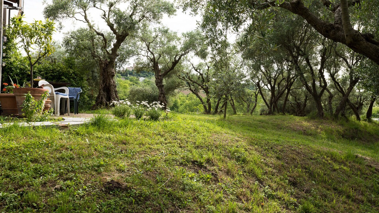 Photo of Outdoor in Mogliano