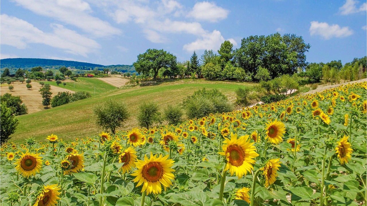 Photo of Outdoor in Fabriano