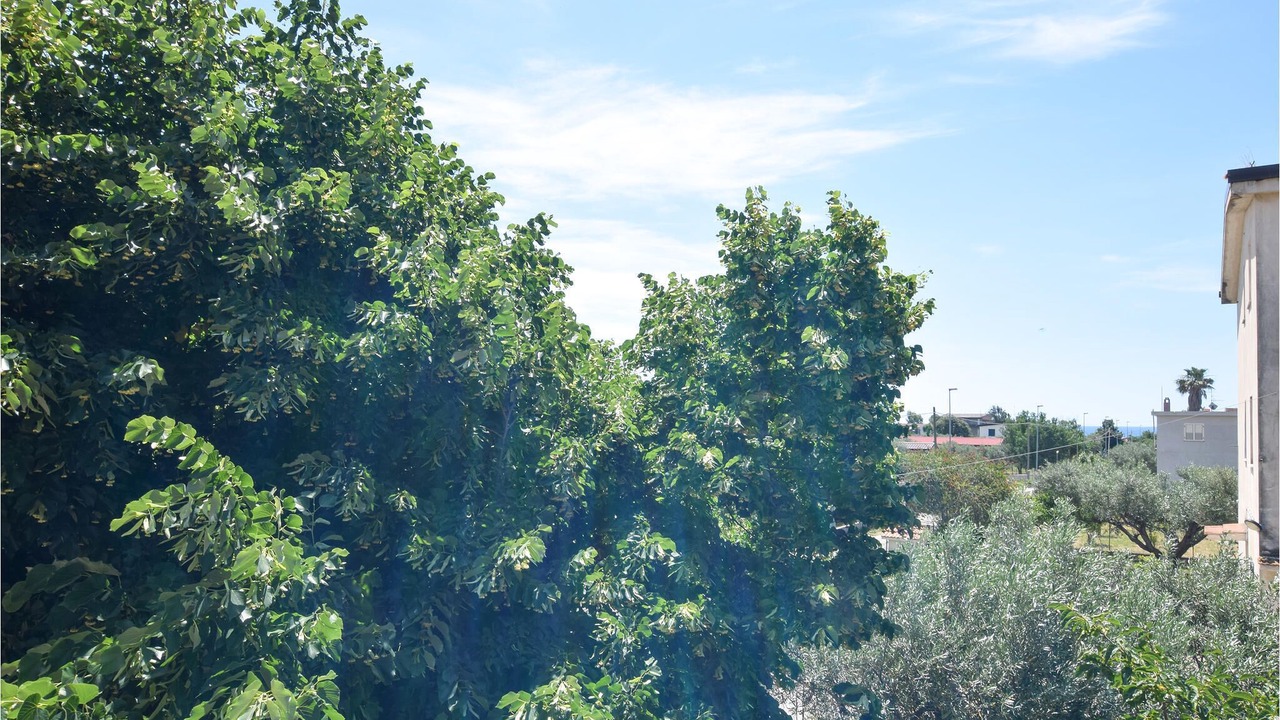 Photo of Outdoor in Sellia Marina