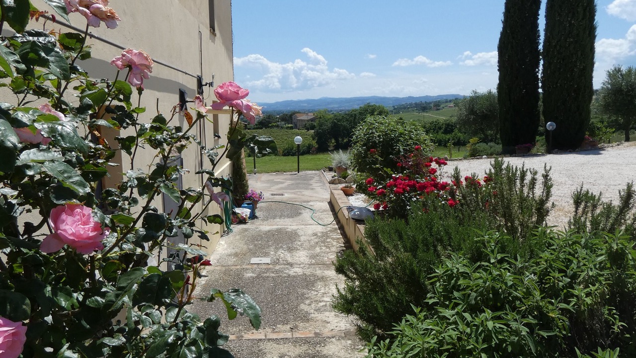 Photo of Outdoor in Fratta