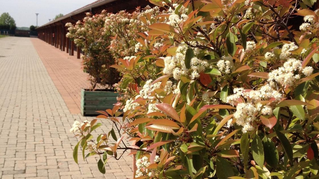 Photo of Outdoor in Castelletto di Branduzzo