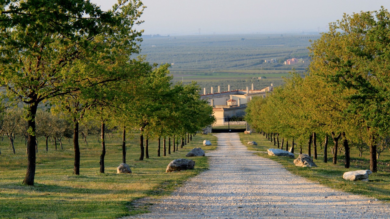 Photo of Outdoor in Montegrosso