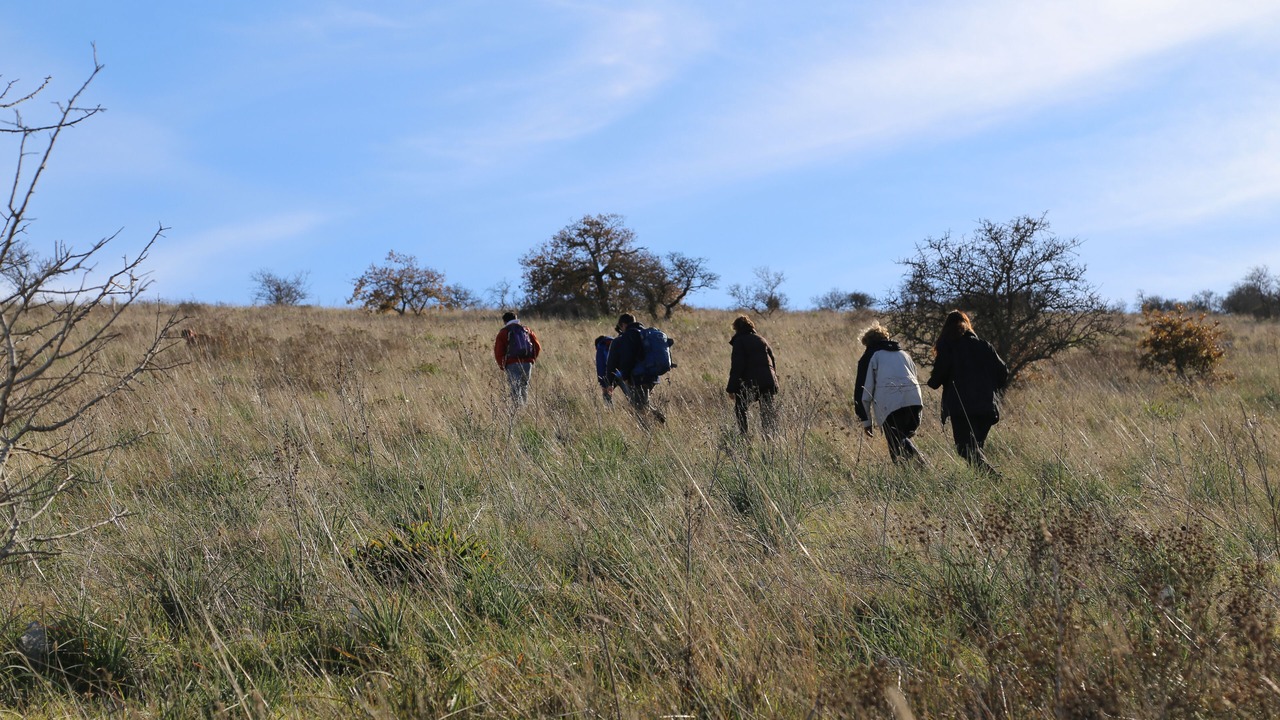 Photo of Outdoor in Montegrosso