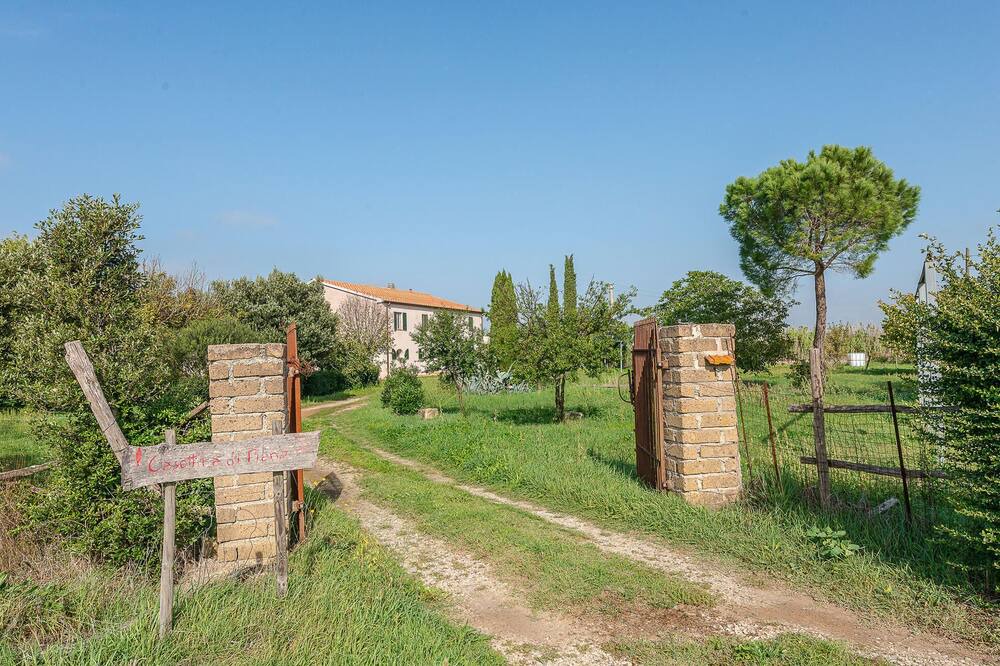 Photo of Others in Gavorrano