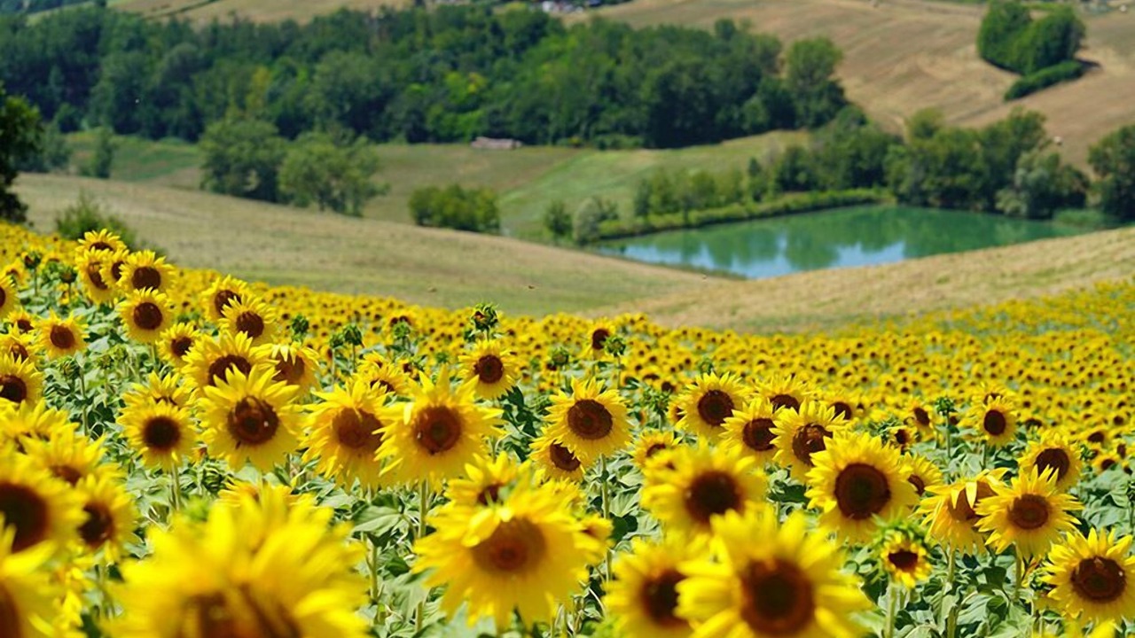 Photo of Outdoor in Bivio Lugnano