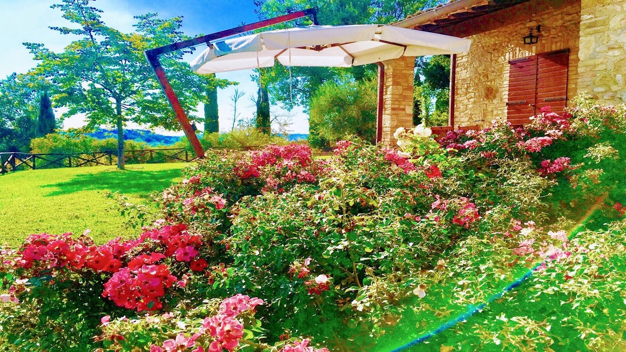 Photo of Outdoor in Loreto