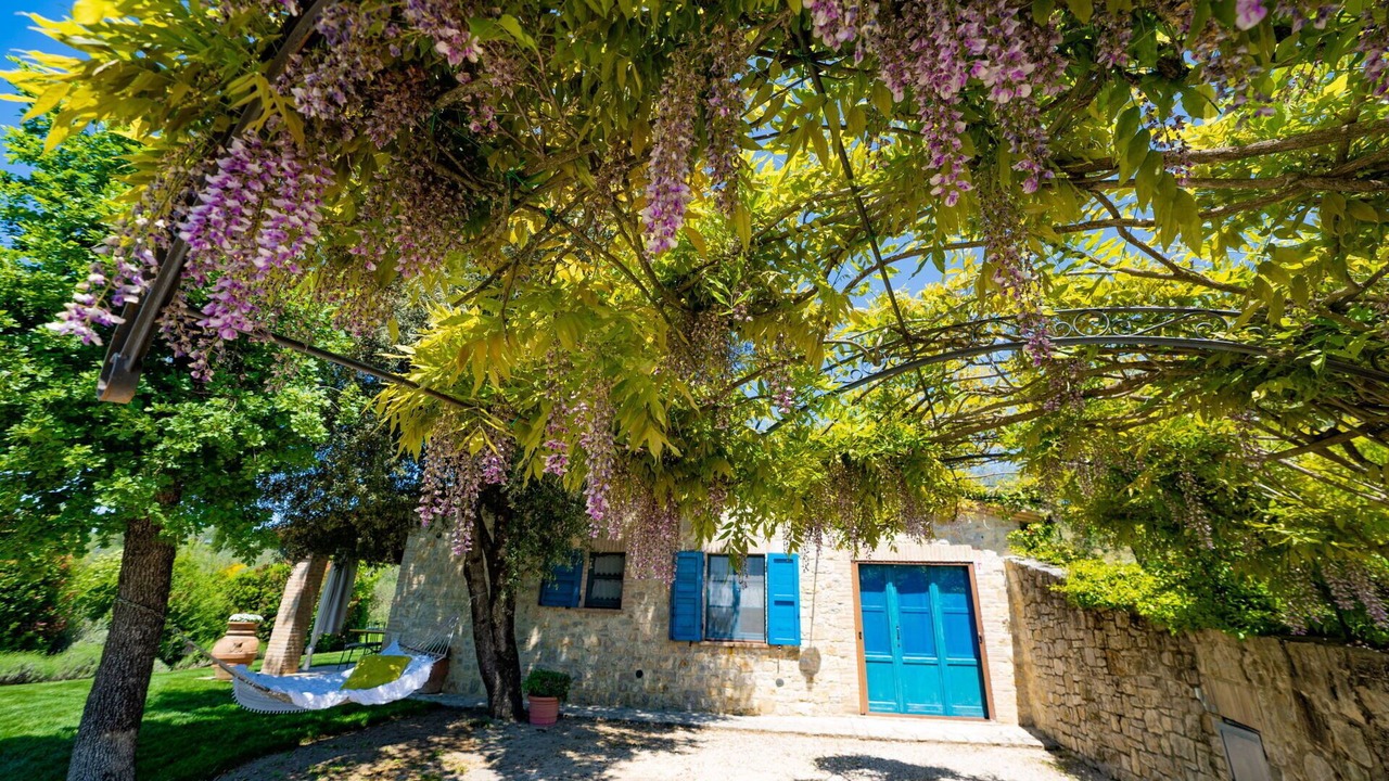 Photo of Outdoor in Collazzone