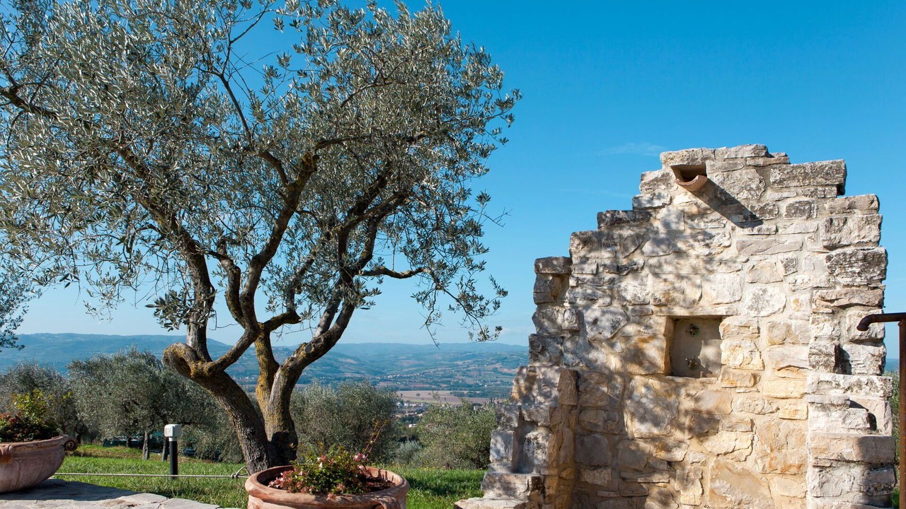 Photo of Outdoor in Collazzone
